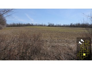 Property photo 47 - 1,600 +/- Acres Offered in 34 Tracts Ranging from 1.7 to 109 Acres - Land Auction 