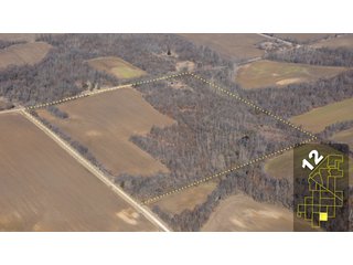 Property photo 50 - 1,600 +/- Acres Offered in 34 Tracts Ranging from 1.7 to 109 Acres - Land Auction 