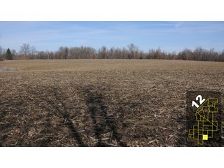 Property photo 51 - 1,600 +/- Acres Offered in 34 Tracts Ranging from 1.7 to 109 Acres - Land Auction 