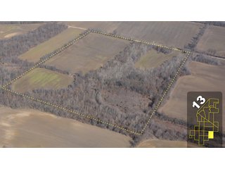 Property photo 54 - 1,600 +/- Acres Offered in 34 Tracts Ranging from 1.7 to 109 Acres - Land Auction 