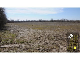Property photo 55 - 1,600 +/- Acres Offered in 34 Tracts Ranging from 1.7 to 109 Acres - Land Auction 