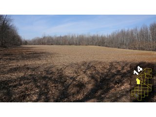 Property photo 59 - 1,600 +/- Acres Offered in 34 Tracts Ranging from 1.7 to 109 Acres - Land Auction 