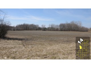 Property photo 60 - 1,600 +/- Acres Offered in 34 Tracts Ranging from 1.7 to 109 Acres - Land Auction 