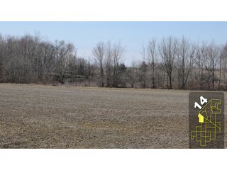 Property photo 62 - 1,600 +/- Acres Offered in 34 Tracts Ranging from 1.7 to 109 Acres - Land Auction 