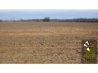 Property photo 69 - 1,600 +/- Acres Offered in 34 Tracts Ranging from 1.7 to 109 Acres - Land Auction 