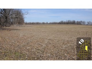 Property photo 76 - 1,600 +/- Acres Offered in 34 Tracts Ranging from 1.7 to 109 Acres - Land Auction 