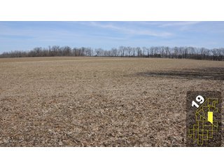 Property photo 77 - 1,600 +/- Acres Offered in 34 Tracts Ranging from 1.7 to 109 Acres - Land Auction 