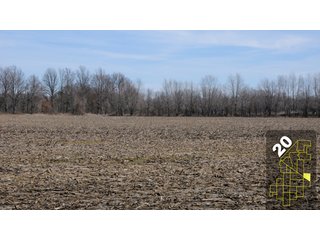 Property photo 80 - 1,600 +/- Acres Offered in 34 Tracts Ranging from 1.7 to 109 Acres - Land Auction 