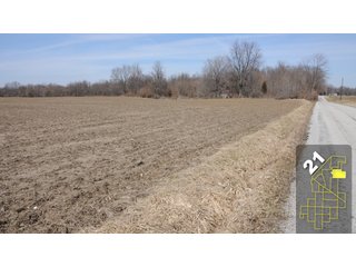 Property photo 85 - 1,600 +/- Acres Offered in 34 Tracts Ranging from 1.7 to 109 Acres - Land Auction 