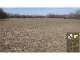 Property photo 89 - 1,600 +/- Acres Offered in 34 Tracts Ranging from 1.7 to 109 Acres - Land Auction 