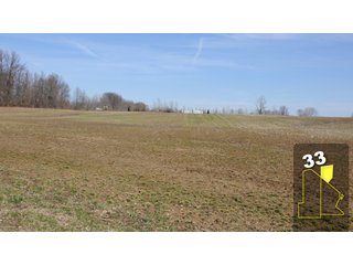 Property photo 117 - 1,600 +/- Acres Offered in 34 Tracts Ranging from 1.7 to 109 Acres - Land Auction 