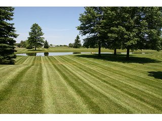 Property photo 34 - 77 +/- Acres Offered in 6 Tracts - Premier Estate Auction