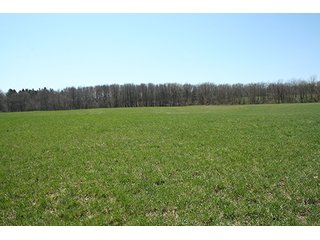 Property photo 3 - 25.97 +/- Acres - Michigan Land Auction - Janssen