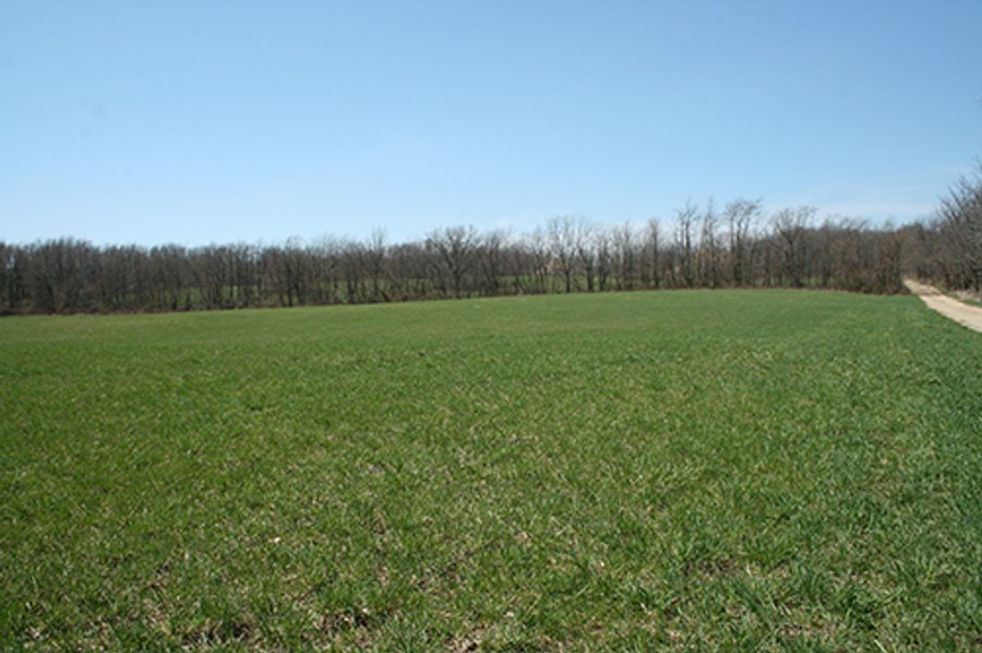 25.97 +/- Acres - Michigan Land Auction - Janssen