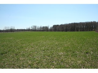 Property photo 2 - 25.97 +/- Acres - Michigan Land Auction - Janssen