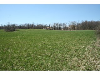 Property photo 1 - 25.97 +/- Acres - Michigan Land Auction - Janssen