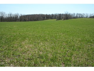 Property photo 4 - 25.97 +/- Acres - Michigan Land Auction - Janssen