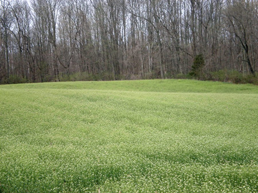 141 Acres Offered in 10 Tracts from 6 to 36 Acres - Dunco Land Auction