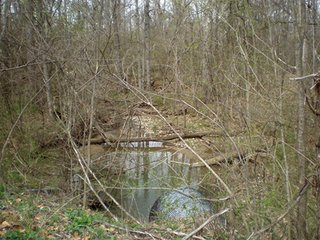 Property photo 2 - 141 Acres Offered in 10 Tracts from 6 to 36 Acres - Dunco Land Auction