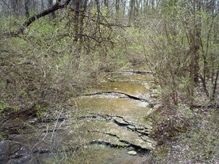 Property photo 5 - 141 Acres Offered in 10 Tracts from 6 to 36 Acres - Dunco Land Auction