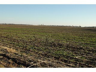 Property photo 14 - 366+/- Acres Offered in 6 Tracts - Proventus Farmland Auction