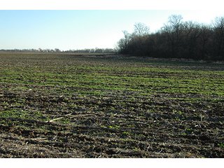 Property photo 20 - 366+/- Acres Offered in 6 Tracts - Proventus Farmland Auction