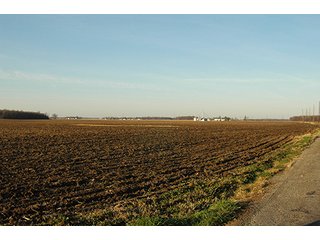 Property photo 18 - 366+/- Acres Offered in 6 Tracts - Proventus Farmland Auction
