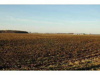 Property photo 2 - 366+/- Acres Offered in 6 Tracts - Proventus Farmland Auction