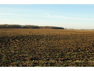 Property photo 9 - 366+/- Acres Offered in 6 Tracts - Proventus Farmland Auction