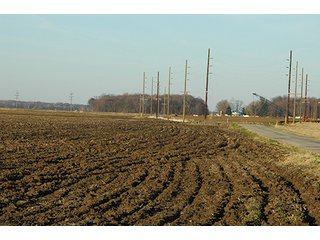 Property photo 13 - 366+/- Acres Offered in 6 Tracts - Proventus Farmland Auction