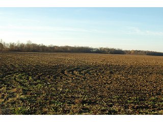 Property photo 1 - 366+/- Acres Offered in 6 Tracts - Proventus Farmland Auction