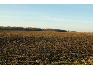Property photo 10 - 366+/- Acres Offered in 6 Tracts - Proventus Farmland Auction