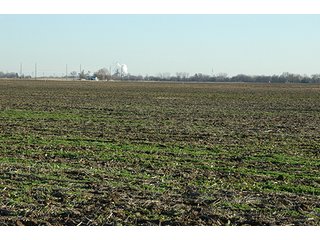 Property photo 21 - 366+/- Acres Offered in 6 Tracts - Proventus Farmland Auction