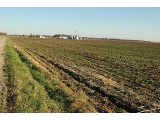Property photo 22 - 366+/- Acres Offered in 6 Tracts - Proventus Farmland Auction