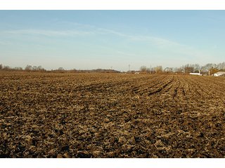 Property photo 5 - 366+/- Acres Offered in 6 Tracts - Proventus Farmland Auction