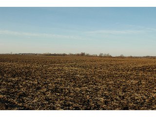 Property photo 16 - 366+/- Acres Offered in 6 Tracts - Proventus Farmland Auction