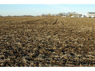 Property photo 11 - 366+/- Acres Offered in 6 Tracts - Proventus Farmland Auction