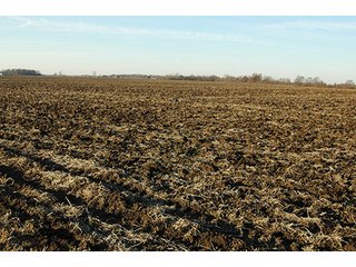 Property photo 8 - 366+/- Acres Offered in 6 Tracts - Proventus Farmland Auction