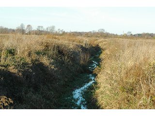 Property photo 23 - 366+/- Acres Offered in 6 Tracts - Proventus Farmland Auction