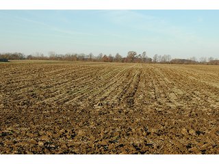 Property photo 7 - 366+/- Acres Offered in 6 Tracts - Proventus Farmland Auction