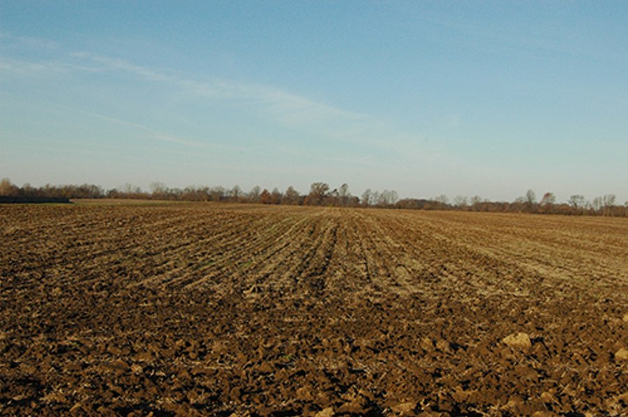 366+/- Acres Offered in 6 Tracts - Proventus Farmland Auction
