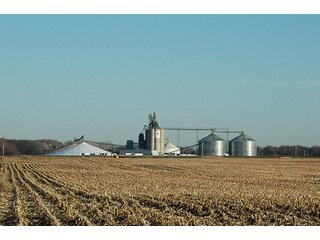 Property photo 12 - 366+/- Acres Offered in 6 Tracts - Proventus Farmland Auction