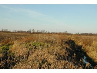 Property photo 19 - 366+/- Acres Offered in 6 Tracts - Proventus Farmland Auction