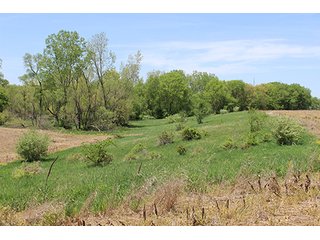 Property photo 19 - Absolute Real Estate Auction - 2 Locations: Oakland Hills & Compass Court