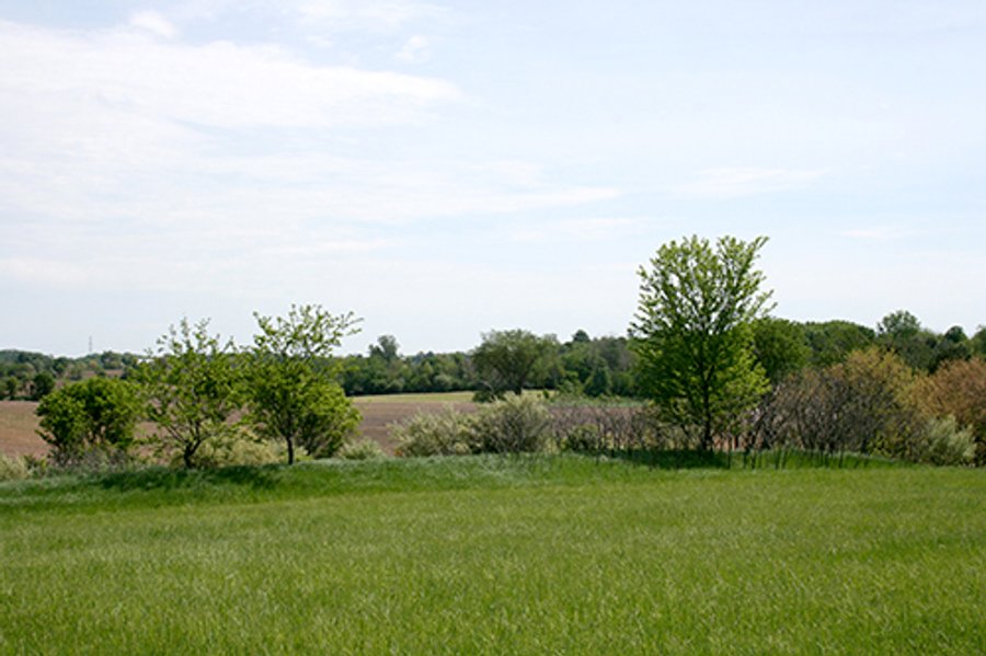 32.78 Acres Offered in 2 Tracts - Noble County Real Estate & Personal Property Auction