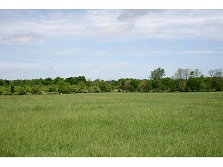 Property photo 14 - 32.78 Acres Offered in 2 Tracts - Noble County Real Estate & Personal Property Auction