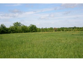 Property photo 5 - 32.78 Acres Offered in 2 Tracts - Noble County Real Estate & Personal Property Auction