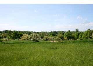 Property photo 13 - 32.78 Acres Offered in 2 Tracts - Noble County Real Estate & Personal Property Auction