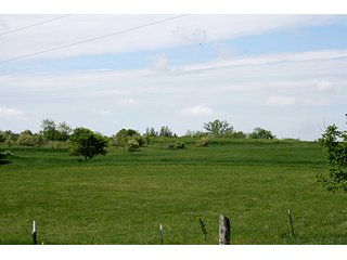 Property photo 20 - 32.78 Acres Offered in 2 Tracts - Noble County Real Estate & Personal Property Auction