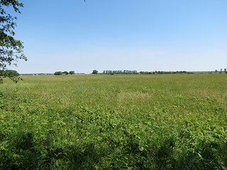 Property photo 29 - Ohio Land Auction - 180 +/- Acres Offered in 6 Tracts